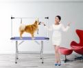 Large Grooming Table for Pet Dog and Cat with Adjustable Arm and Clamps Large Heavy Duty Animal grooming table, 42''/Blue