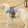 Universal Outdoor Dog Harness With Pet Leash And Snap Shackle Hitched Loop For Dogs