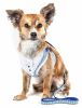 Pet Life Luxe 'Spawling' 2-In-1 Mesh Reversed Adjustable Dog Harness-Leash W/ Fashion Bowtie