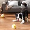 Dog Chew Toys, Dog Squeaky Toys For Aggressive Chewers